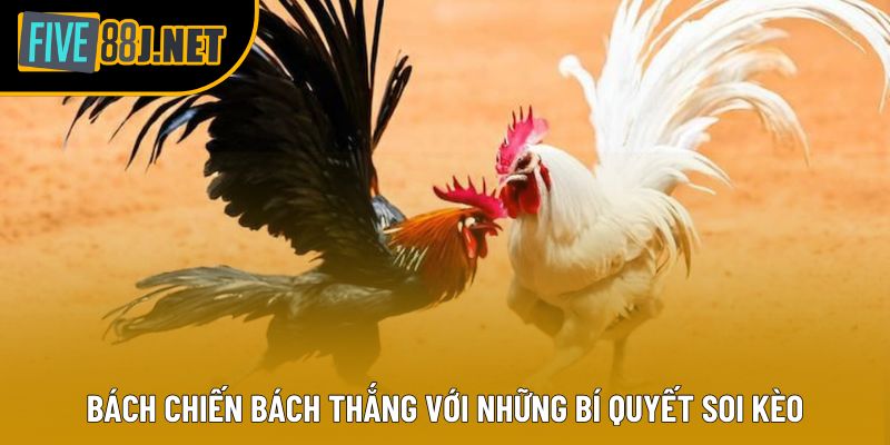Bách chiến bách thắng với những bí quyết soi kèo Bách chiến bách thắng với những bí quyết soi kèo