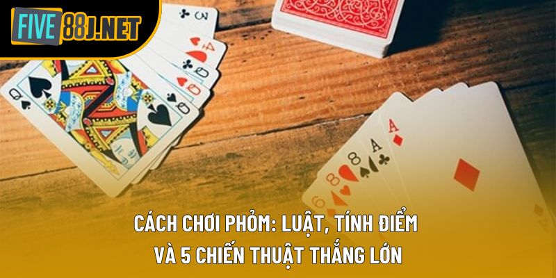 Cách Chơi Phỏm: Luật, Tính Điểm và 5 Chiến Thuật Thắng Lớn