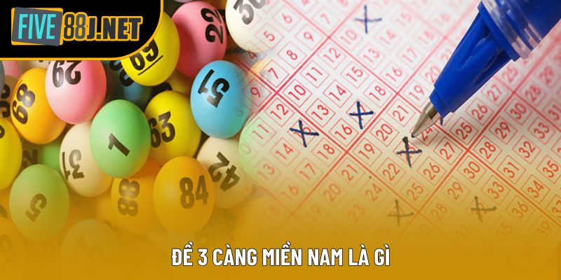 Đề 3 Càng Miền Nam là gì