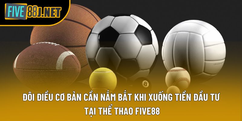 Đôi điều cơ bản cần nắm bắt khi xuống tiền đầu tư tại thể thao Five88 Đôi điều cơ bản cần nắm bắt khi xuống tiền đầu tư tại thể thao Five88