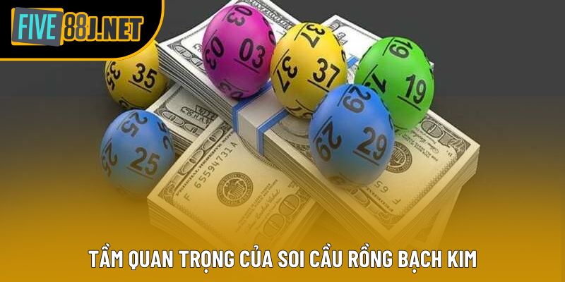 Tầm quan trọng của soi cầu rồng bạch kim