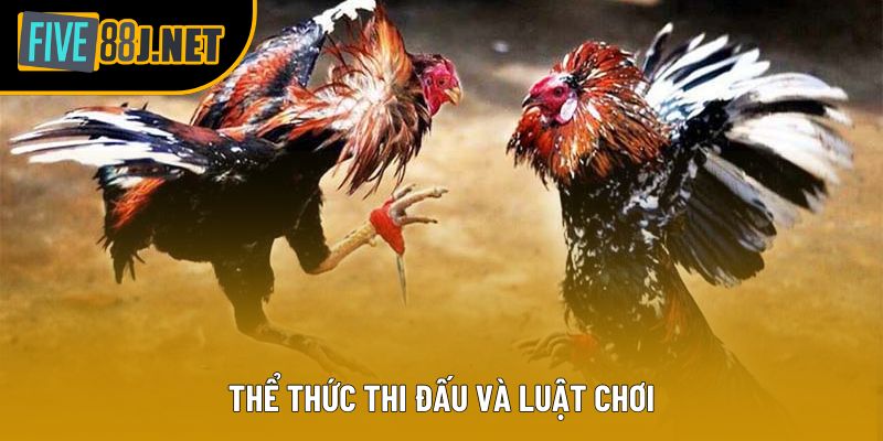 Thể thức thi đấu và luật chơi Thể thức thi đấu và luật chơi