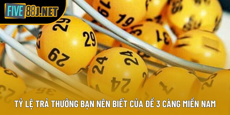 Tỷ lệ trả thưởng bạn nên biết của Đề 3 Càng Miền Nam